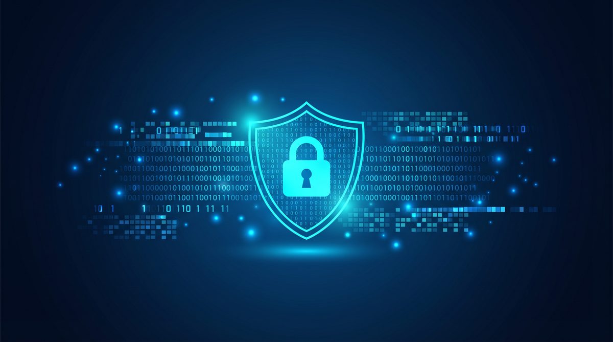 灰熊加速器隐私安全保护